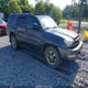 JTEZU14R238008242 2003 Toyota 4Runner Sr5 V6 auction photo thumbnail 1