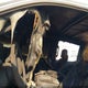 1GCUDEET8NZ513747 2022 Chevrolet Silverado 1500 auction photo thumbnail 6
