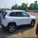 1C4PJMDNXKD209041 2019 Jeep Cherokee Limited 4X4 auction photo thumbnail 12