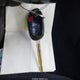 4T1BF1FK7CU037853 2012 Toyota Camry Se auction photo thumbnail 11