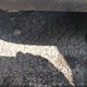 3C63R3CJXHG566268 2017 Ram 3500 auction photo thumbnail 13