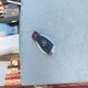 WDCGG8JB1DG110989 2013 Mercedes-Benz Glk 350 4Matic auction photo thumbnail 11