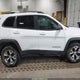 1C4PJMBS4HW562350 2017 Jeep Cherokee Trailhawk 4X4 auction photo thumbnail 13