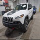 1C4PJMBS4HW562350 2017 Jeep Cherokee Trailhawk 4X4 auction photo thumbnail 2