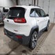 1C4PJMBS4HW562350 2017 Jeep Cherokee Trailhawk 4X4 auction photo thumbnail 4