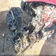 5NPDH4AE4DH321429 2013 Hyundai Elantra Gls auction photo thumbnail 15
