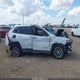 1C4PJLLB9KD165051 2019 Jeep Cherokee Latitude Plus Fwd auction photo thumbnail 14