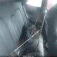 WDBLK70G8YT043104 2000 Mercedes-Benz Clk 430 auction photo thumbnail 8