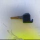 1N4AL11D95N901712 2005 Nissan Altima 2.5 S auction photo thumbnail 11
