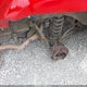 1J4GZ58SXTC354175 1996 Jeep Grand Cherokee Laredo auction photo thumbnail 15