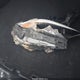 KMHLS4DG0RU728425 2024 Hyundai Elantra Sel auction photo thumbnail 12