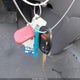 5J6RE3H50AL044648 2010 Honda Cr-V Ex auction photo thumbnail 11