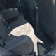 JN8AZ1MU4DW213022 2013 Nissan Murano Sv auction photo thumbnail 8