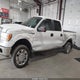 1FTPW14V19FB30534 2009 Ford F-150 Xlt auction photo thumbnail 14