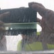 2G4GT5GVXC9213421 2012 Buick Regal Turbo - Premium 2 auction photo thumbnail 9