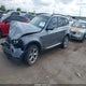 WBXPC9C44AWJ35539 2010 BMW X3 xDrive30I auction photo thumbnail 2