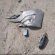 1G1ZD5ST5SF133670 2025 Chevrolet Malibu Fwd 1Lt auction photo thumbnail 12