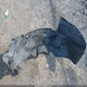 1GNEC13Z92R251294 2002 Chevrolet Tahoe Ls auction photo thumbnail 12