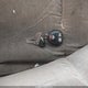 2G4WS52J611168363 2001 Buick Century Custom auction photo thumbnail 11