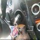 1FM5K7B87HGD09989 2017 Ford Explorer auction photo thumbnail 11