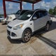 1FMCU0GX9DUB76527 2013 Ford Escape Se auction photo thumbnail 2