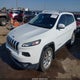 1C4PJMDS9FW510206 2015 Jeep Cherokee Limited auction photo thumbnail 2