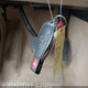 4JGBF7BE5AA597338 2010 Mercedes-Benz Gl 450 4Matic auction photo thumbnail 11