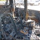 3GNMCFE05BG175774 2011 Chevrolet Avalanche 1500 Lt1 auction photo thumbnail 5