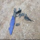KMHLR4AF1MU154885 2021 Hyundai Elantra N Line auction photo thumbnail 12