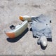 1GTEC19V73Z182796 2003 GMC Sierra 1500 Sle auction photo thumbnail 12