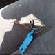 2HKRL18641H533289 2001 Honda Odyssey Ex auction photo thumbnail 11