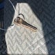 1GCCS1446XK146041 1999 Chevrolet S-10 auction photo thumbnail 11