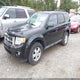 1FMCU93G09KC04521 2009 Ford Escape Xlt auction photo thumbnail 2