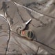 1J4GW48S1YC408392 2000 Jeep Grand Cherokee Laredo auction photo thumbnail 11