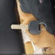 1HGCP26829A009048 2009 Honda Accord 2.4 Ex-L auction photo thumbnail 11
