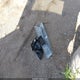 3GNAXUEV4ML355779 2021 Chevrolet Equinox Awd Lt auction photo thumbnail 12