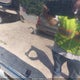 1FTRW08W51KA81226 2001 Ford F-150 King Ranch Edition/Lariat/Xlt auction photo thumbnail 14