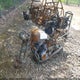 JH2PC0543CM016683 1982 Honda Cb450 Sc auction photo thumbnail 2