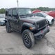 1C4PJXFN7SW521501 2025 Jeep Wrangler 4-Door Rubicon 4X4 auction photo thumbnail 1