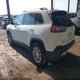 1C4PJMCB0KD127147 2019 Jeep Cherokee Latitude 4X4 auction photo thumbnail 3
