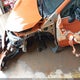 JF2GTANC0KH389260 2019 Subaru Crosstrek 2.0I Limited auction photo thumbnail 6