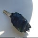 2HGFG3A53CH541000 2012 Honda Civic Lx auction photo thumbnail 11