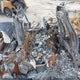 1FTEW1EP3KFB44657 2019 Ford F-150 Xlt auction photo thumbnail 8