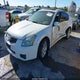 1N4BA41E18C817839 2008 Nissan Maxima 3.5 Se auction photo thumbnail 2