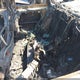 5NPE34AF4JH726083 2018 Hyundai Sonata Limited auction photo thumbnail 8
