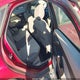 1FADP3F28DL164498 2013 Ford Focus Se auction photo thumbnail 8
