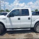 1FTEW1CM0BFA40006 2011 Ford F-150 Xlt auction photo thumbnail 15