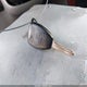 1A4GP45RX6B756967 2006 Chrysler Town & Country auction photo thumbnail 11