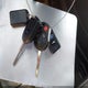 1FMCU0GXXEUC82986 2014 Ford Escape Se auction photo thumbnail 11