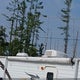 4X4TWDB24AA244922 2010 Forest River Travel Trailer auction photo thumbnail 6